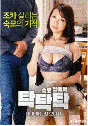 陆仁轮回塔塔外三百年封面